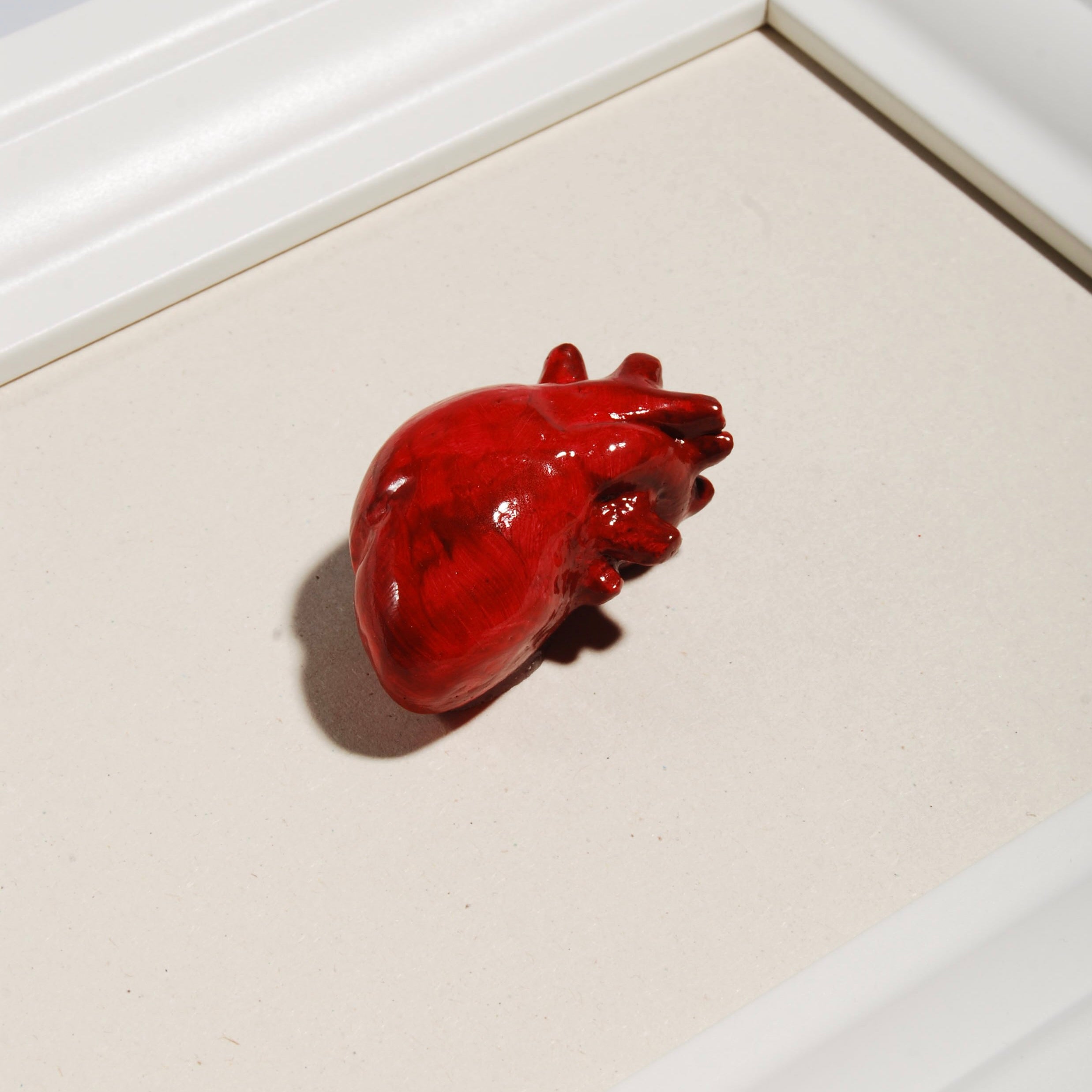 Quadretto Cuore Anatomico