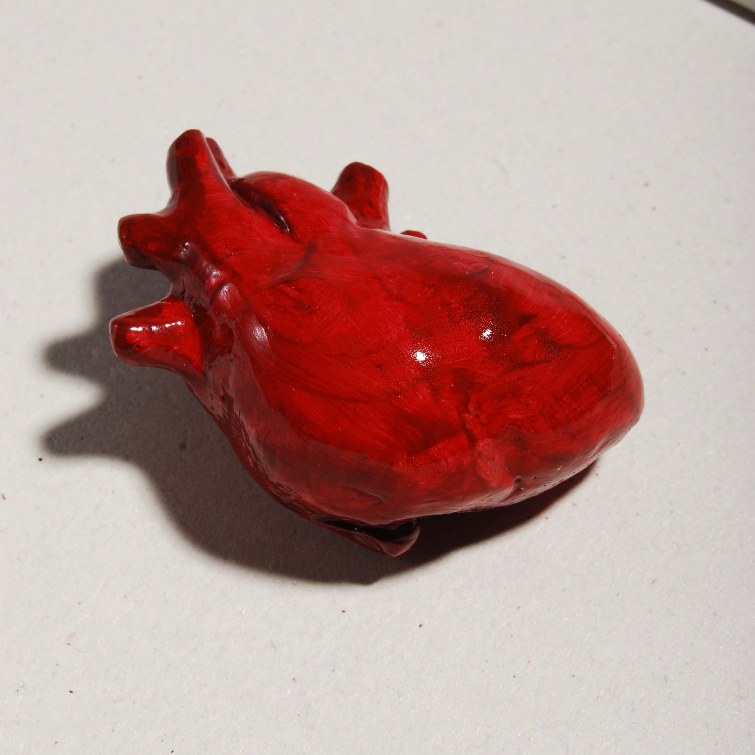 Quadretto Cuore Anatomico