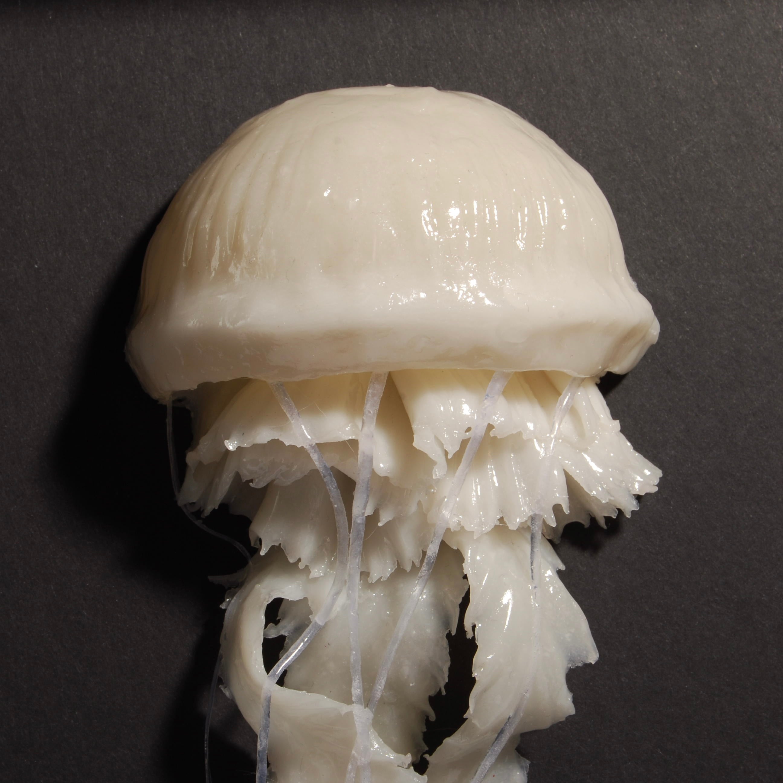 Quadretto Medusa
