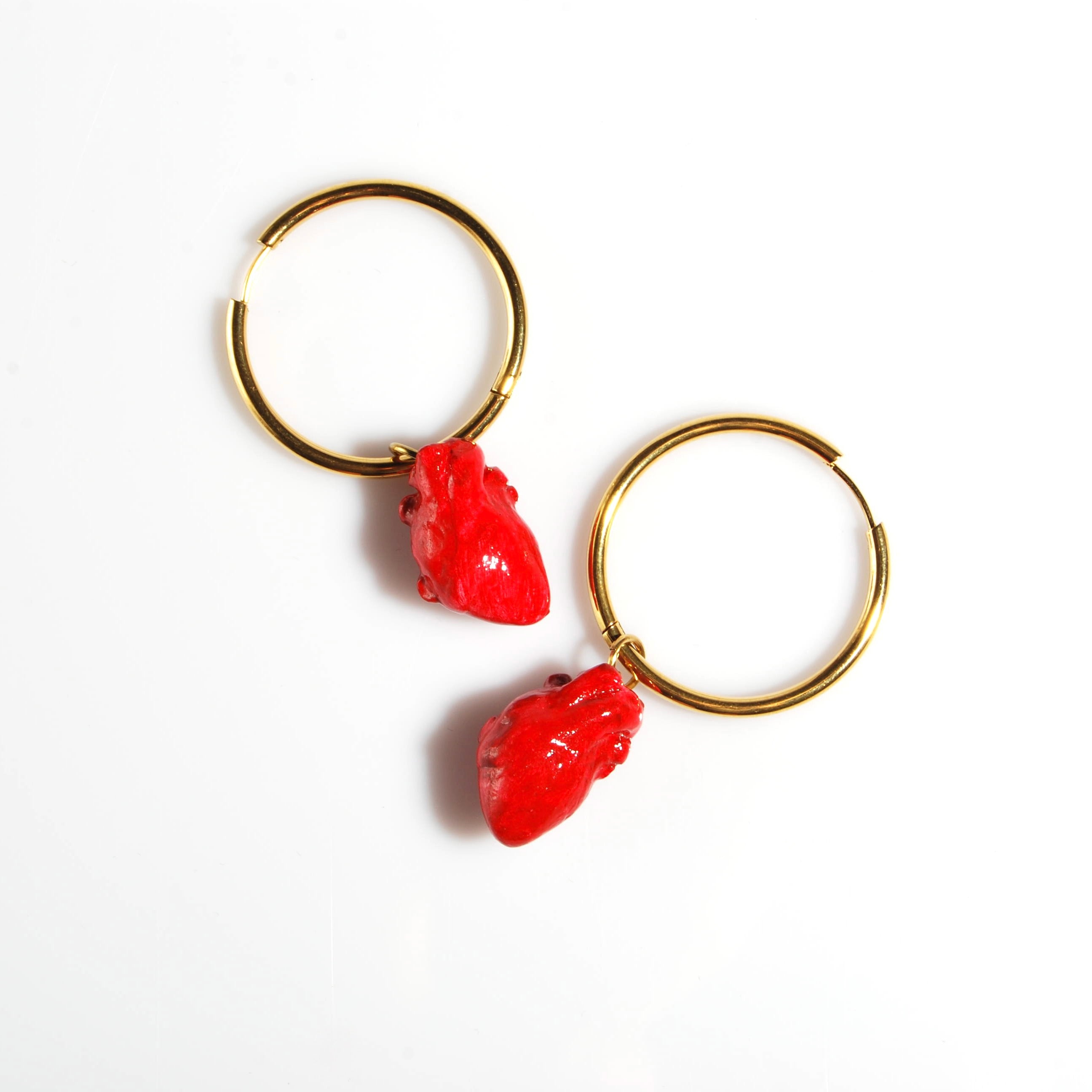 Orecchini Cuore Anatomico - Cerchio Grande