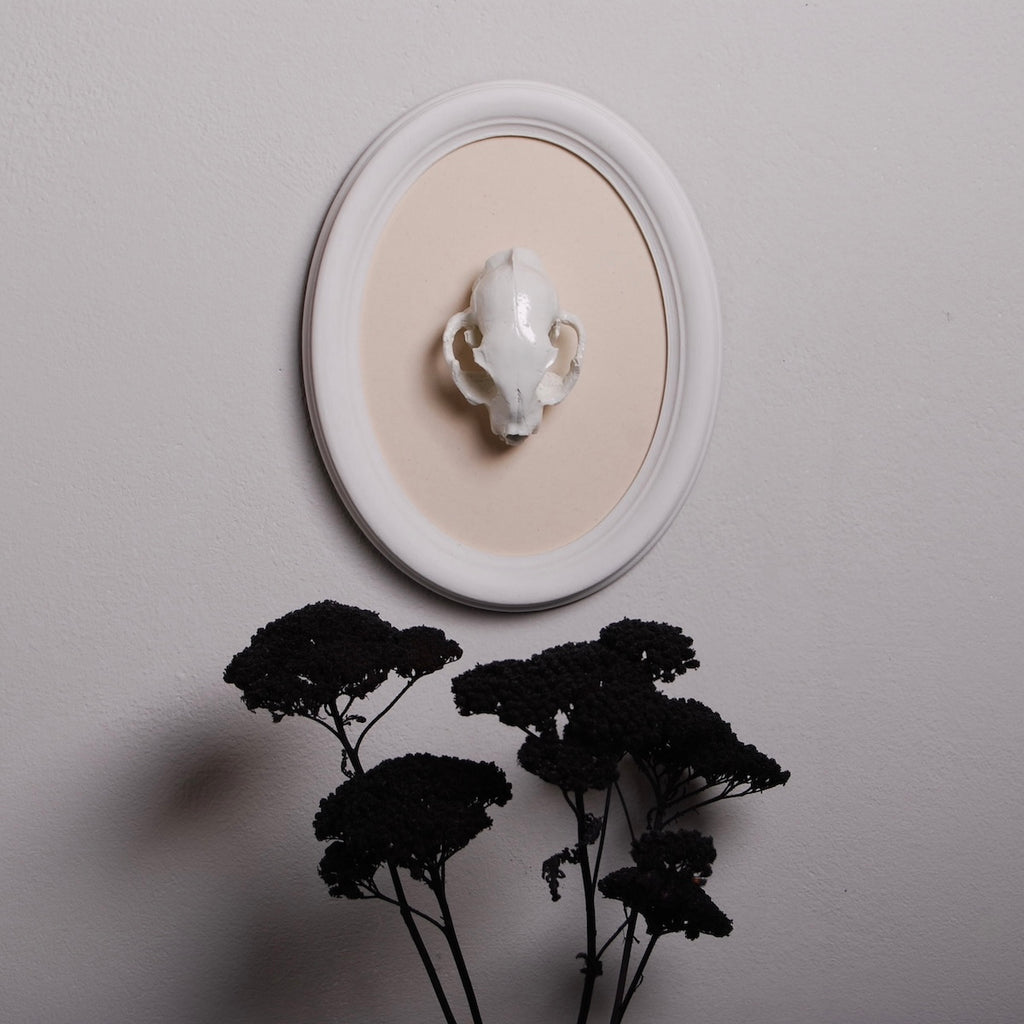 Quadro ovale con scultura teschio di gatto appesa a una parete con sotto fiori neri in vaso