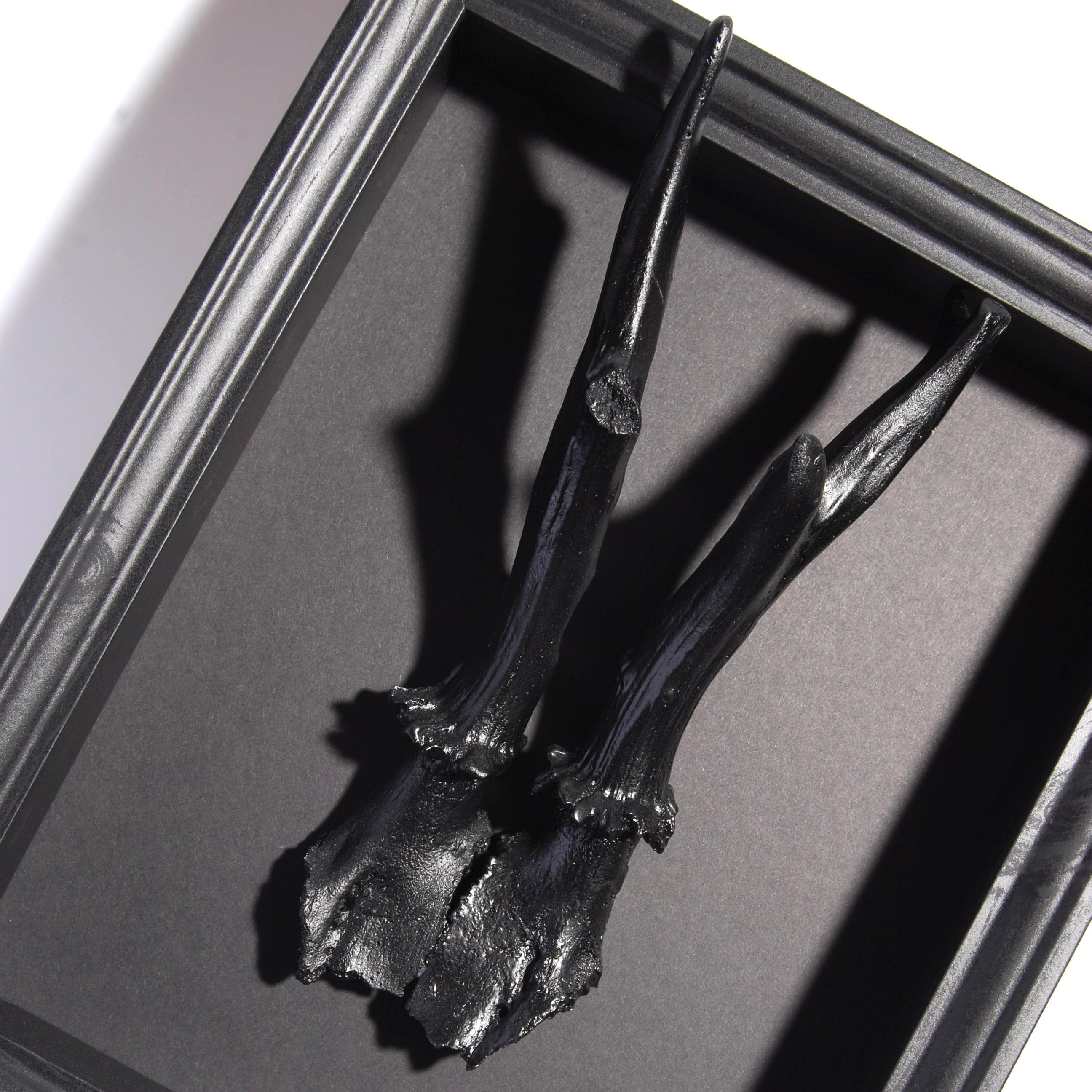 particolare di quadretto con riproduzione corna di capriolo nere