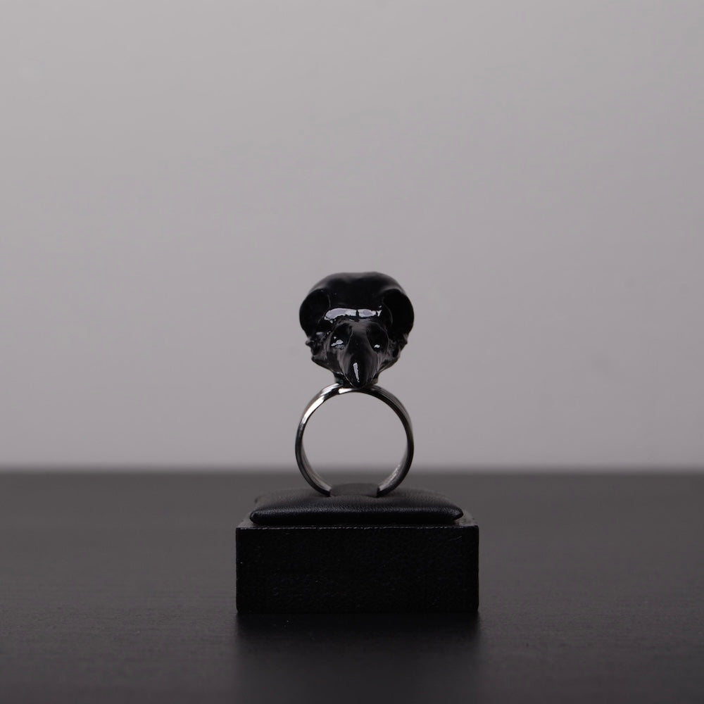 Anello teschio di corvo nero, vista frontale