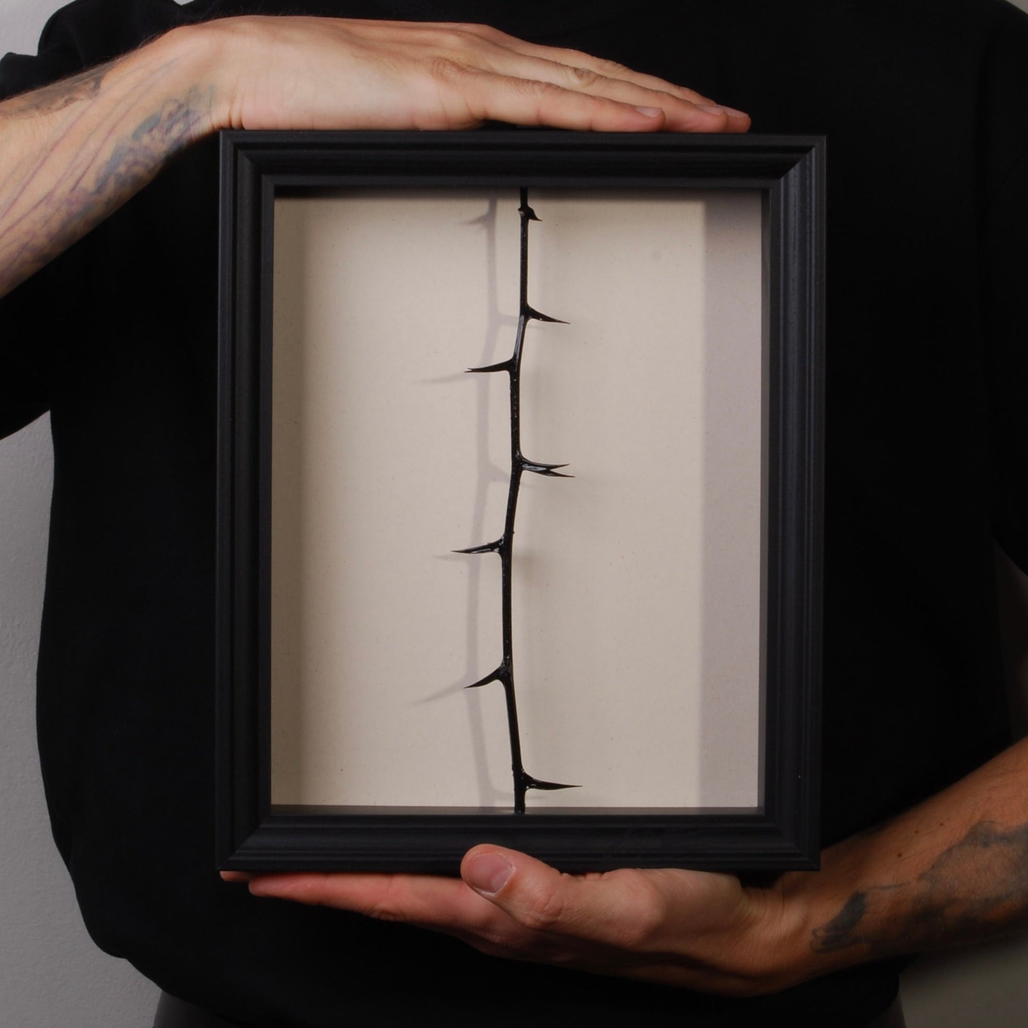 quadretto con spine di acacia, sorretto da due mani