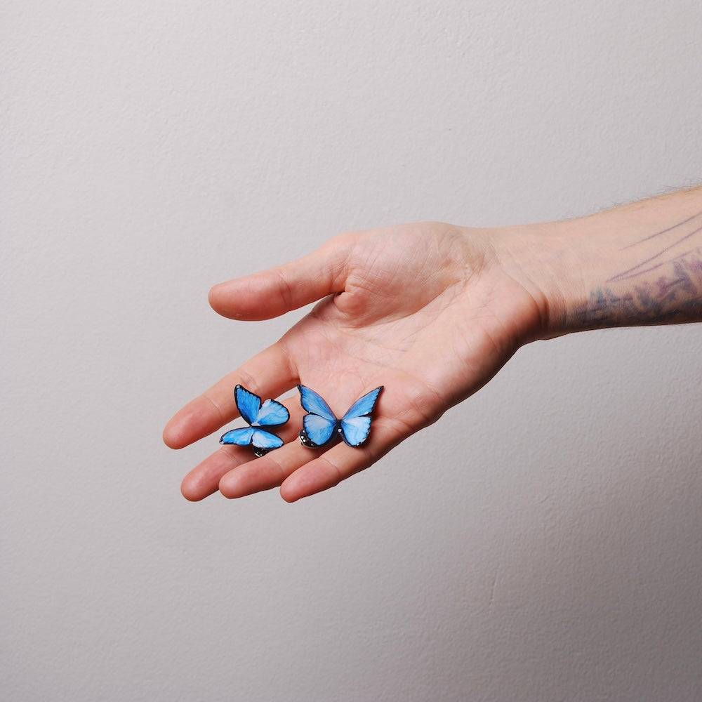 mano che tiene due spille farfalla blu