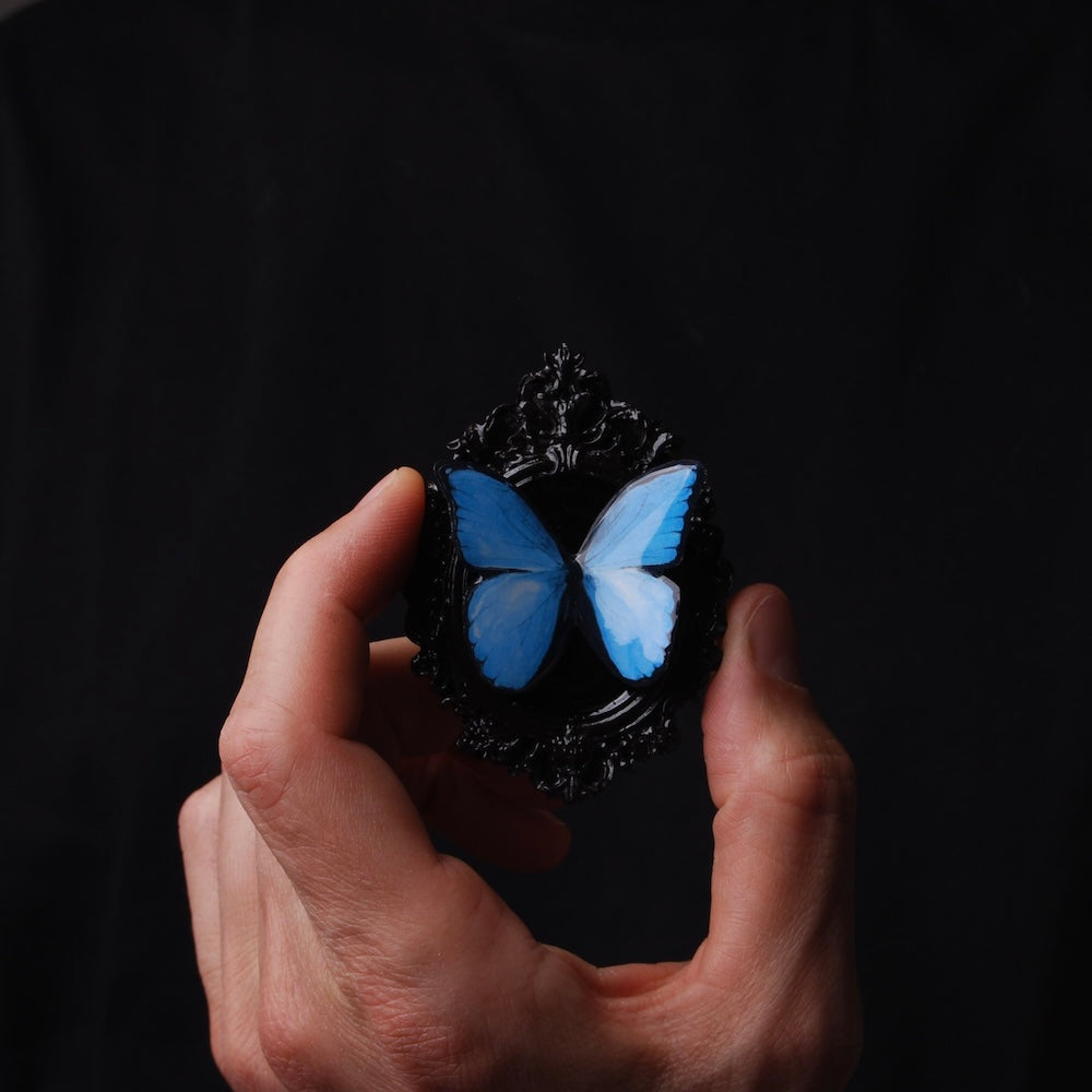 mano che tiene una spilla con cornice barocca nera e farfalla blu