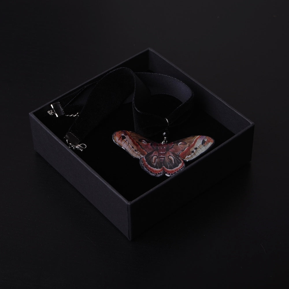 choker in velluto nero con pendente falena in una scatolina nera