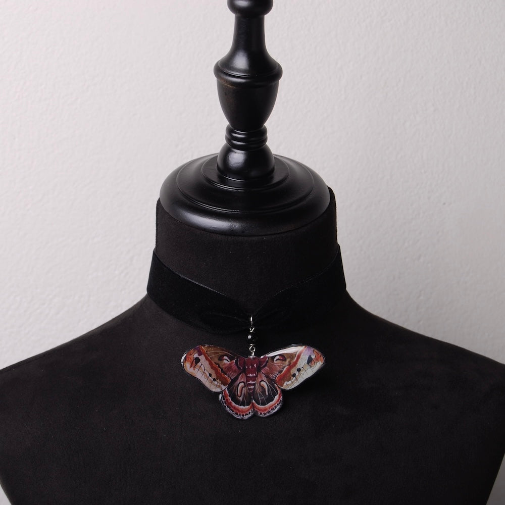 choker in velluto nero con falena cecropia in resina, su busto espositore in velluto nero