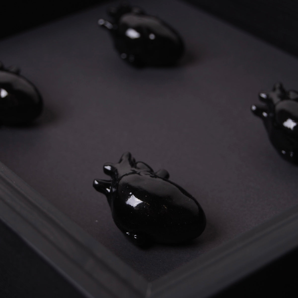 Quadretto Cuori Anatomici