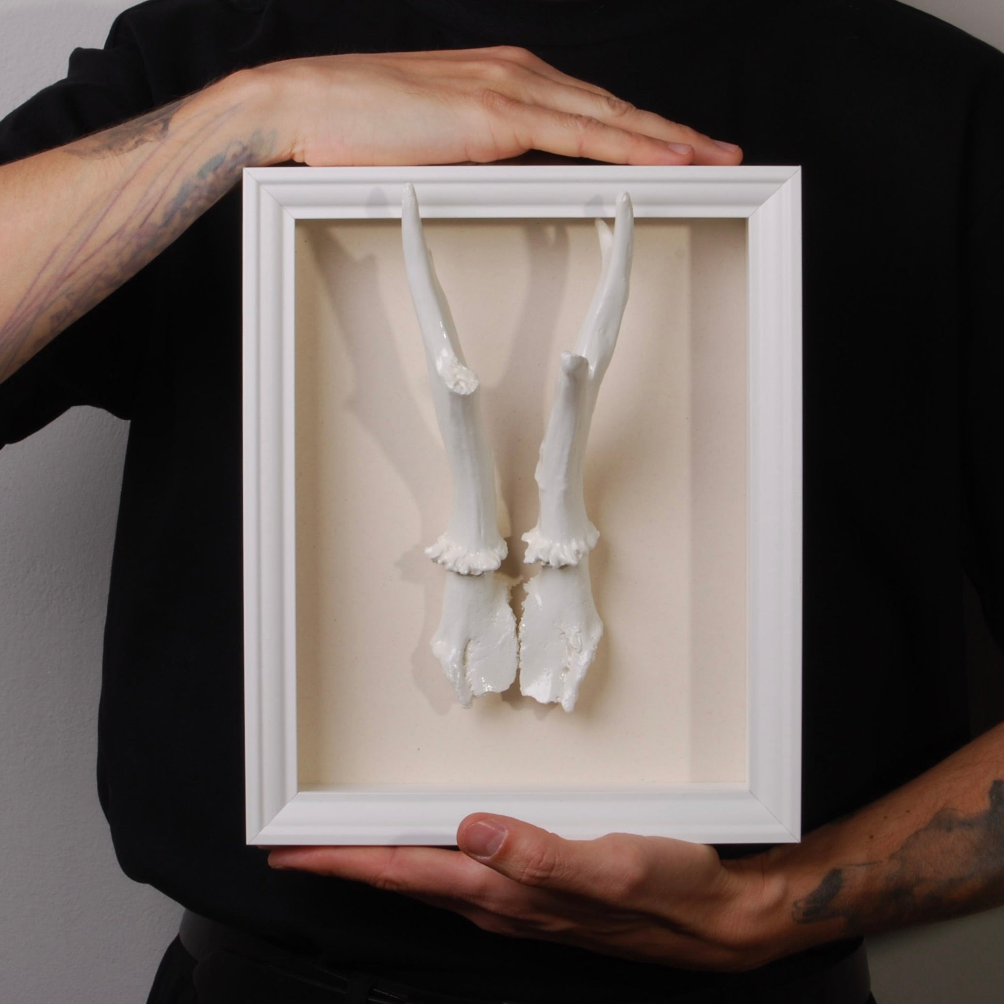 Quadretto Corna di Capriolo