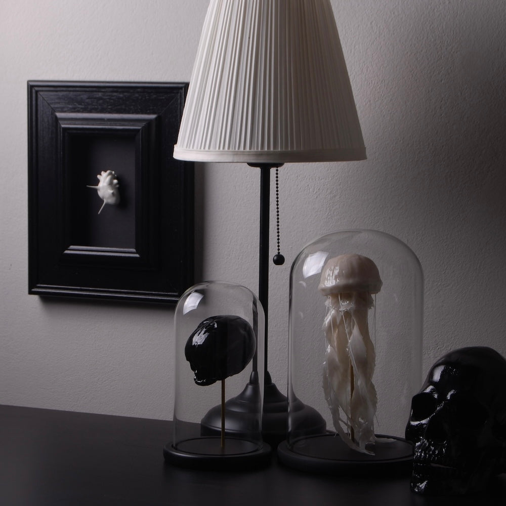 angolo decorativo con teche con teschio e medusa, una lampada e un quadro con cuore anatomico