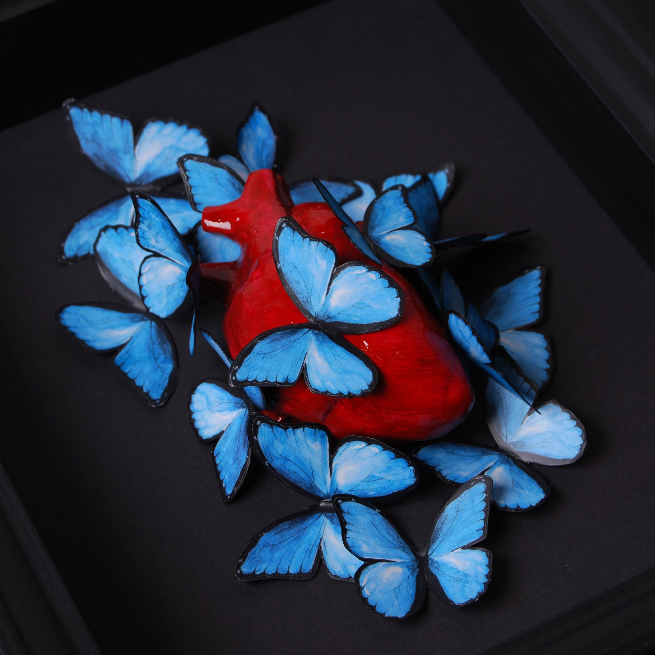 Quadretto Cuore Anatomico con Farfalle Blue Morpho
