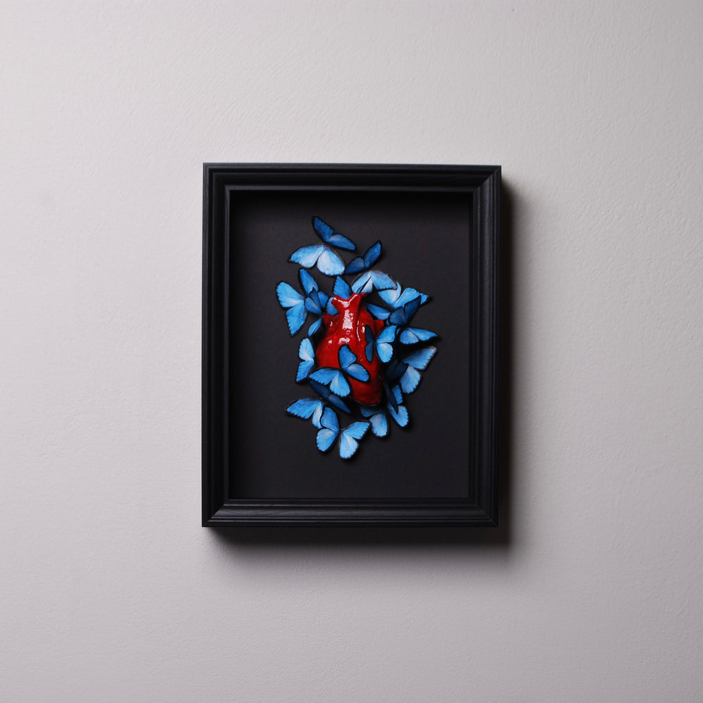 Quadretto Cuore Anatomico con Farfalle Blue Morpho