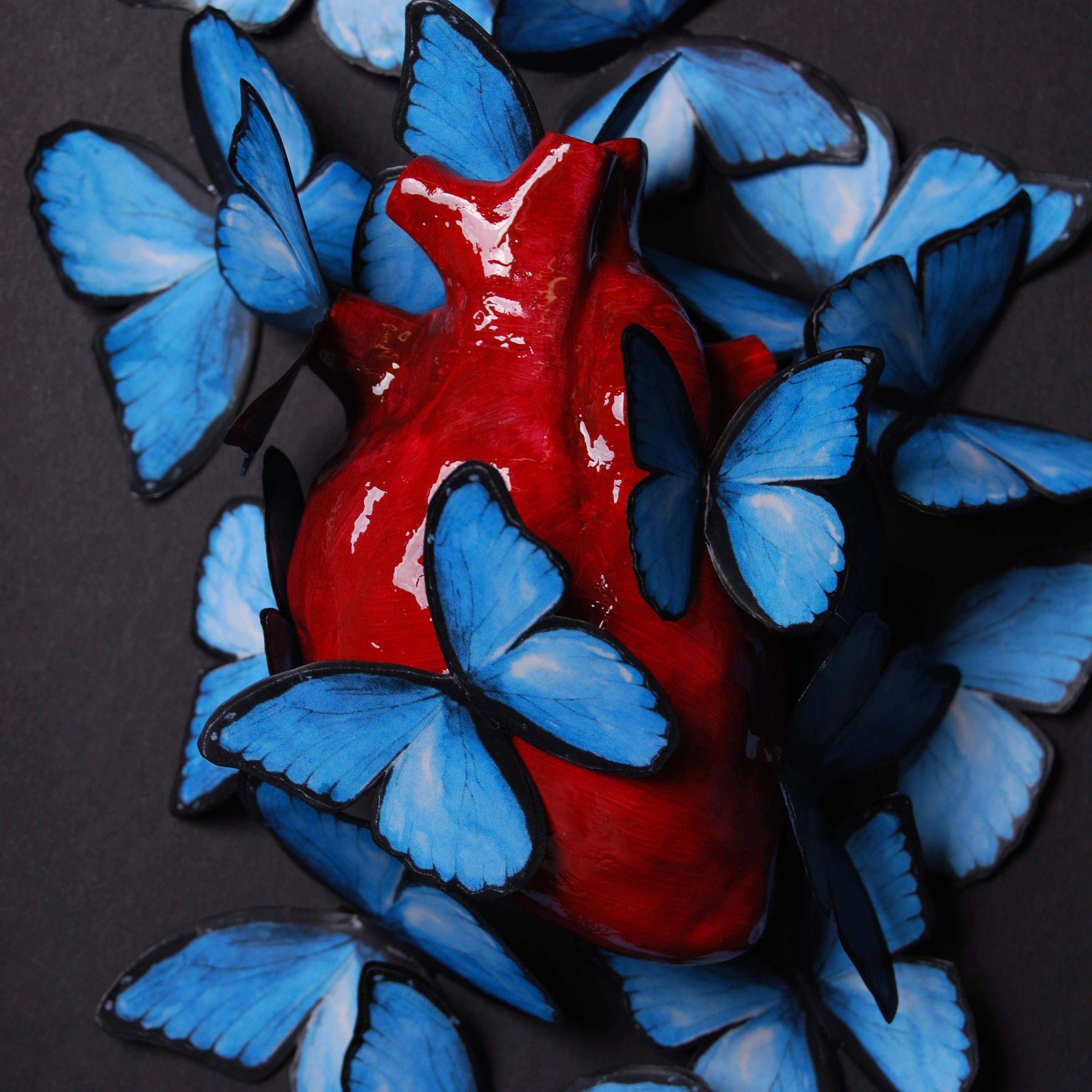 Quadretto Cuore Anatomico con Farfalle Blue Morpho