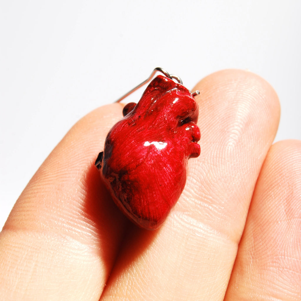 Dettaglio cuore anatomico rosso su due dita