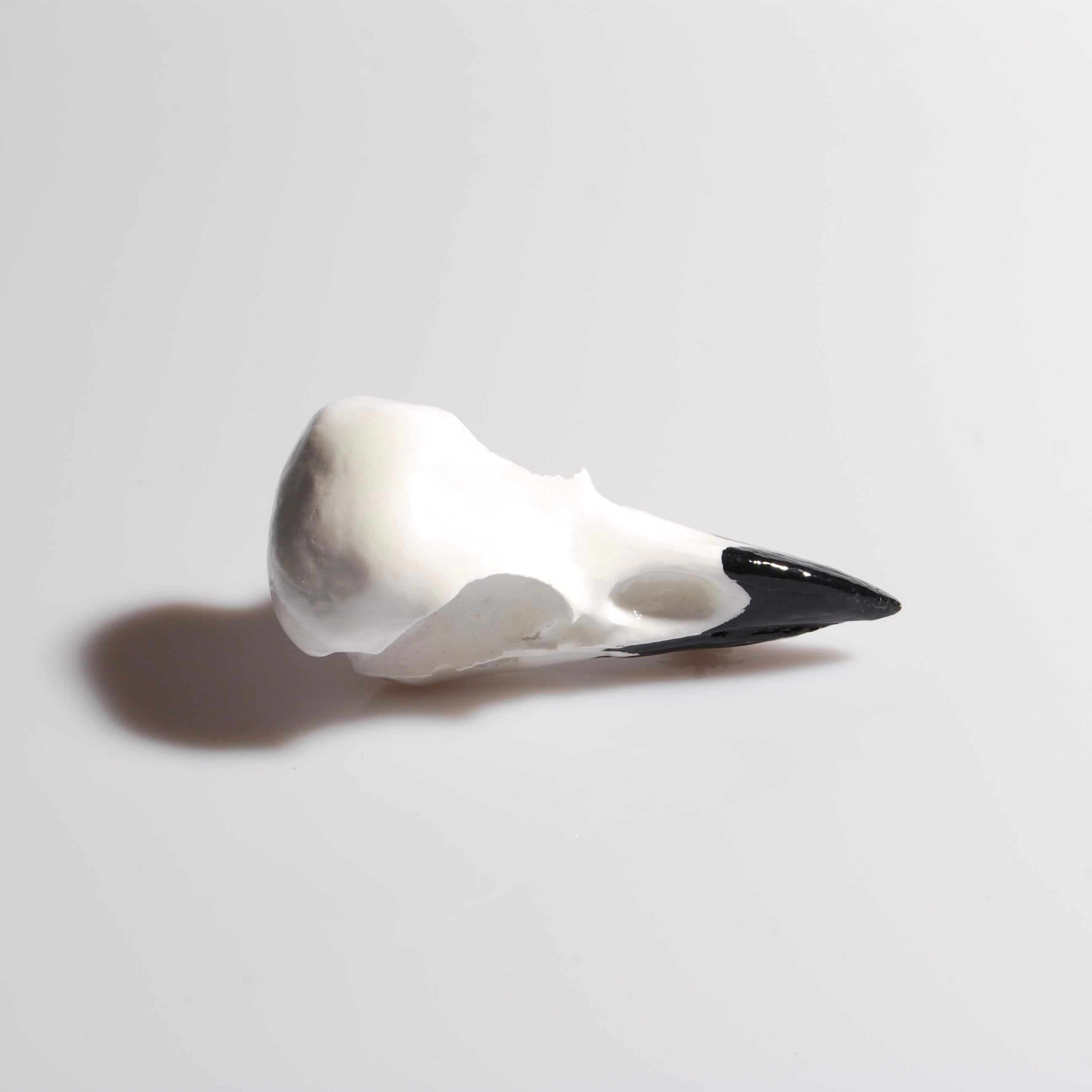 Spilla Teschio di Corvo