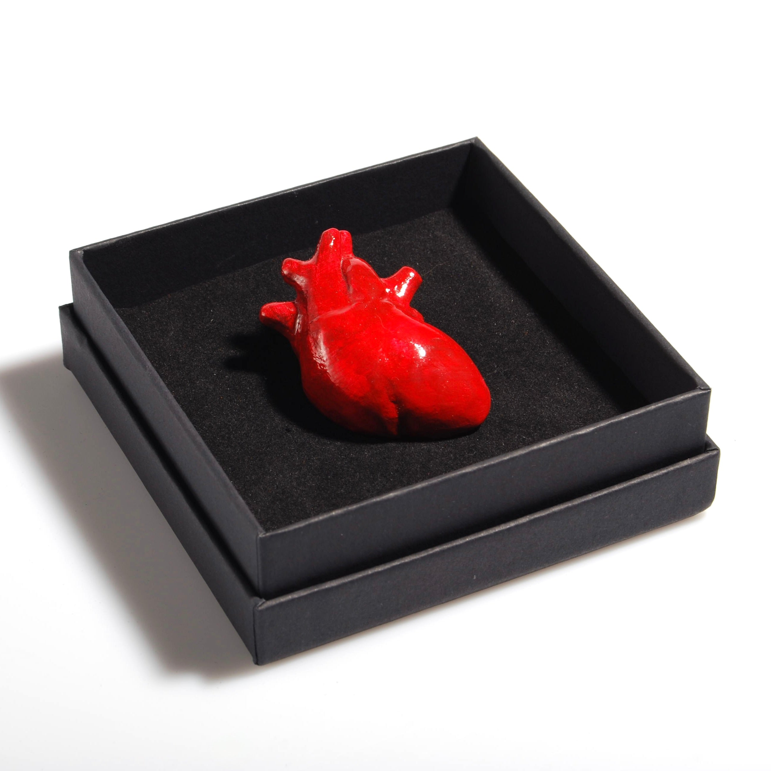 Spilla Cuore Anatomico