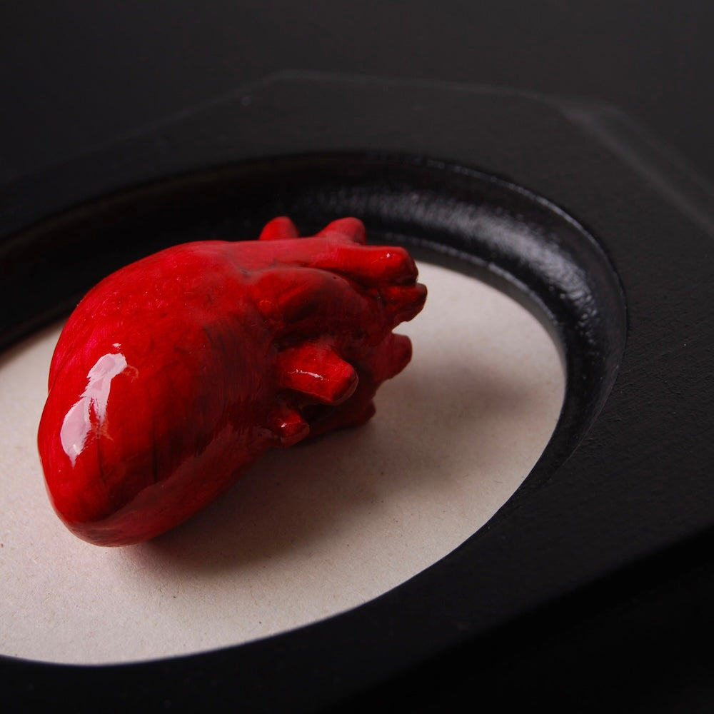 piccolo quadretto con cuore anatomico, dettaglio ravvicinato del cuore