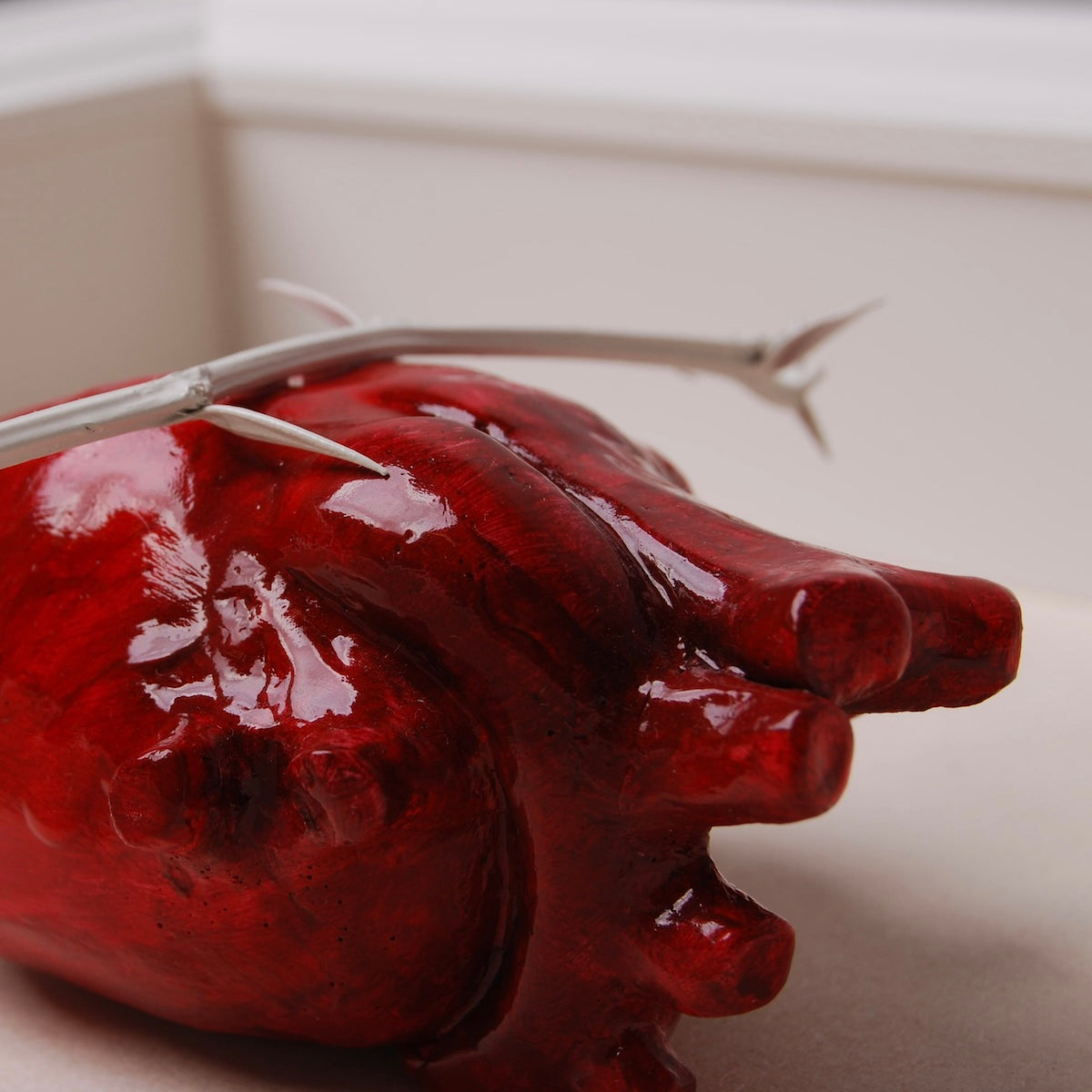 Quadretto Cuore Anatomico con Spine