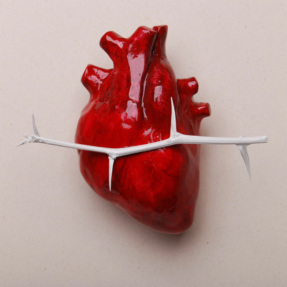 Quadretto Cuore Anatomico con Spine