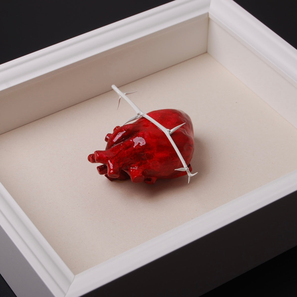 Quadretto Cuore Anatomico con Spine