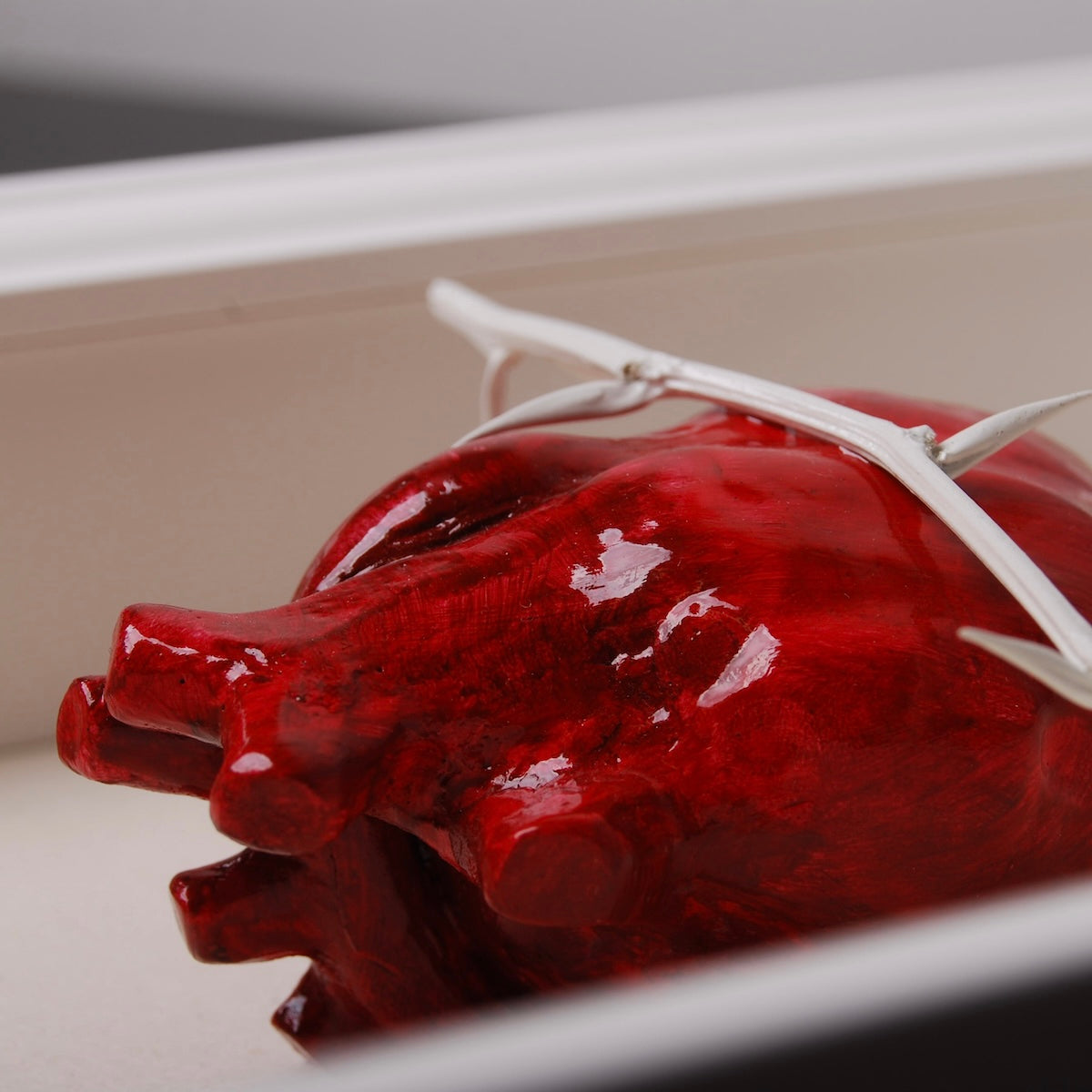 Quadretto Cuore Anatomico con Spine