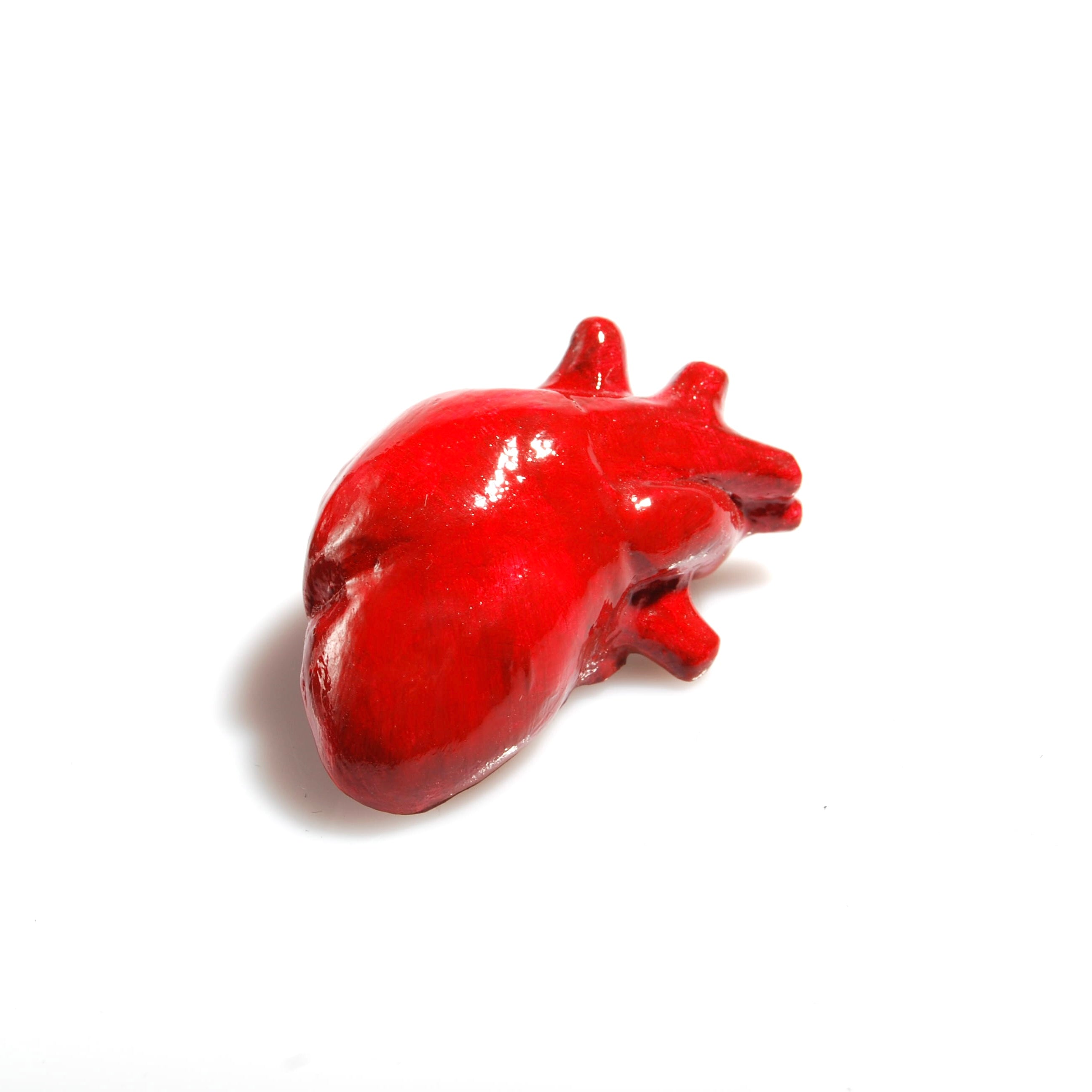 Spilla Cuore Anatomico