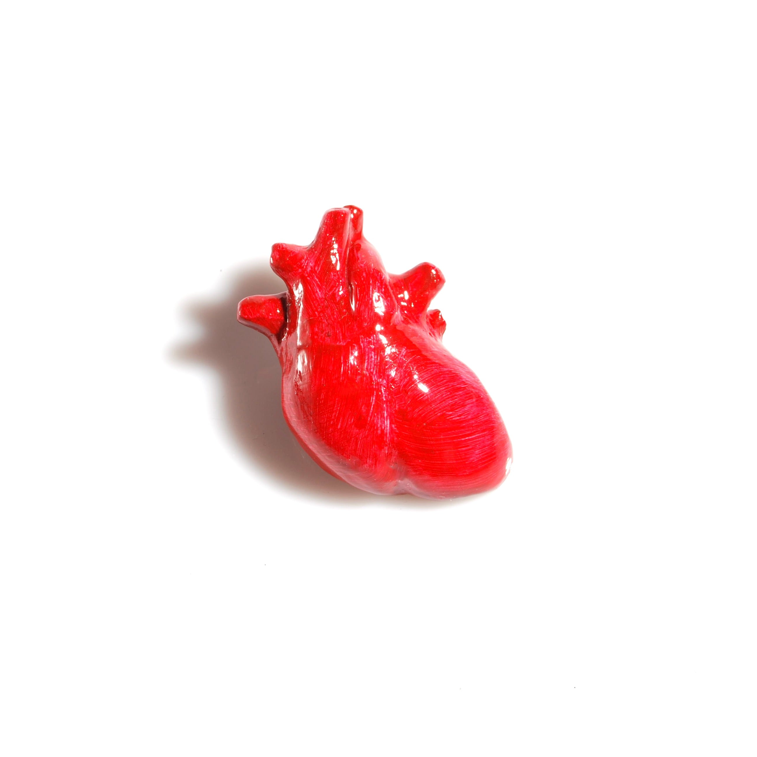 Spilla Cuore Anatomico