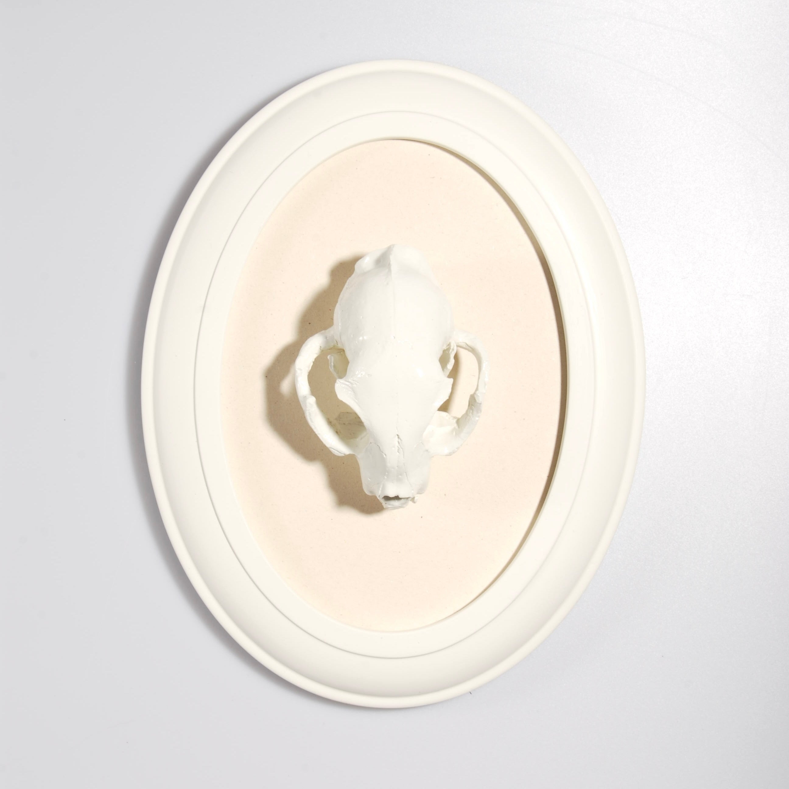 Quadretto Teschio di Gatto - Ovale