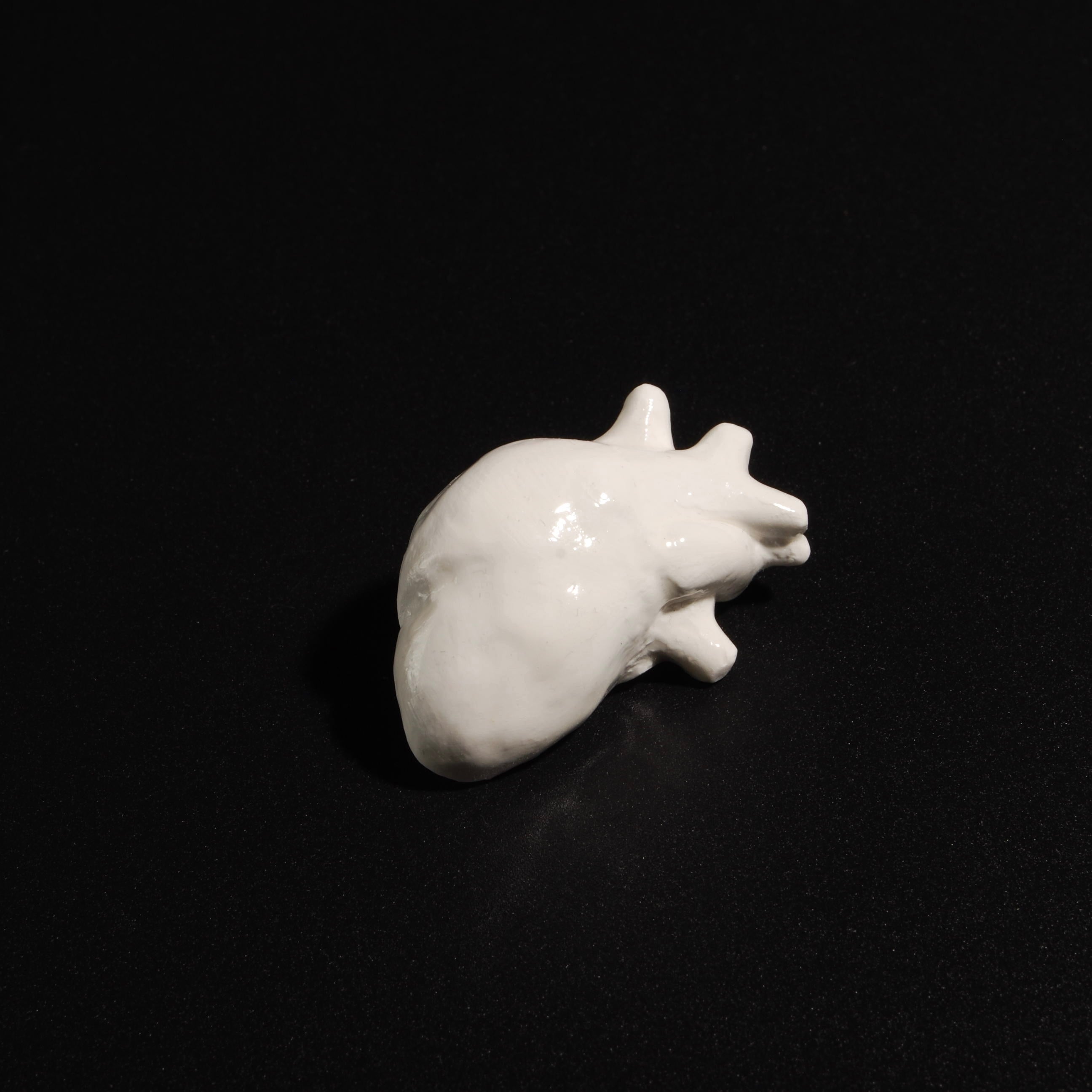 Spilla Cuore Anatomico