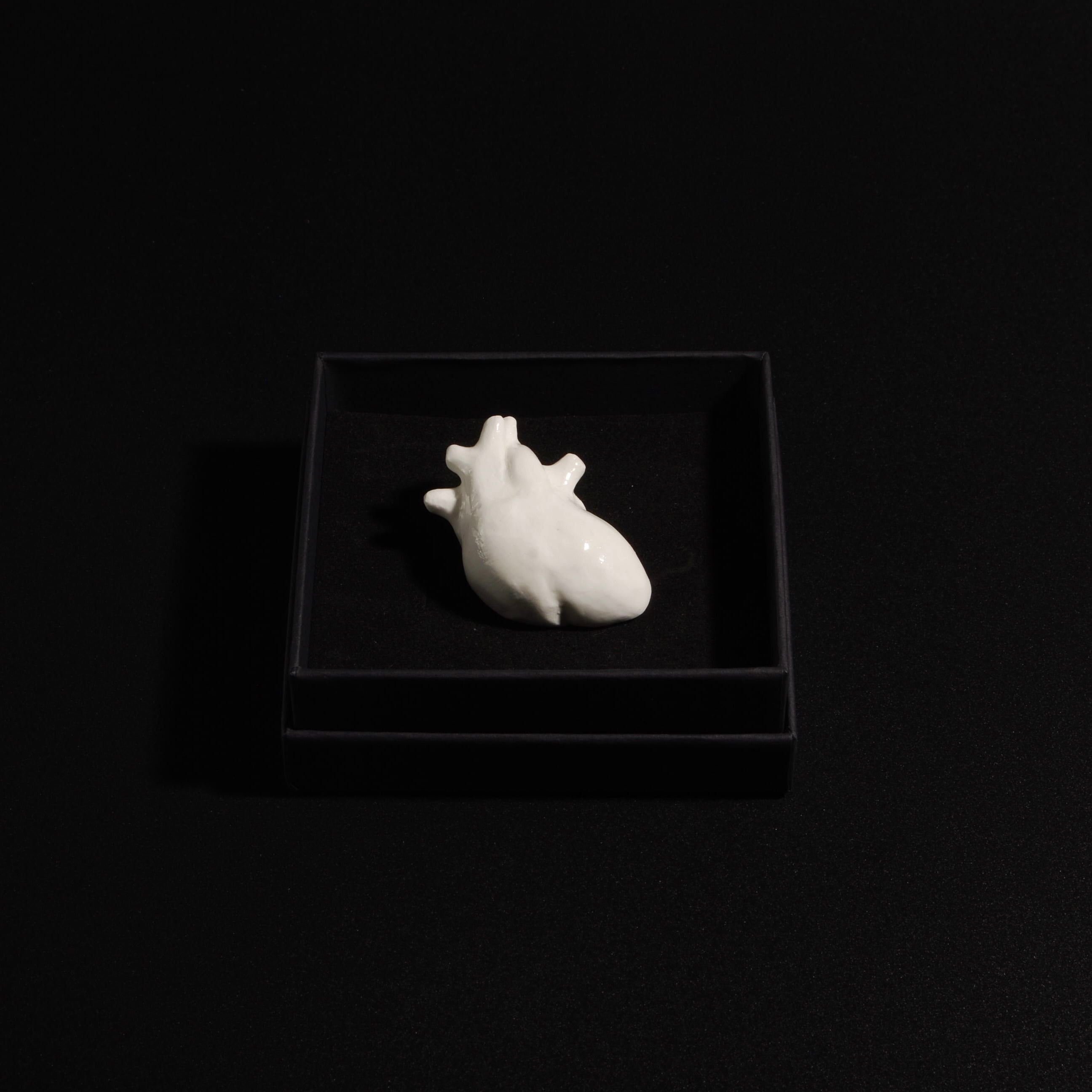 Spilla Cuore Anatomico