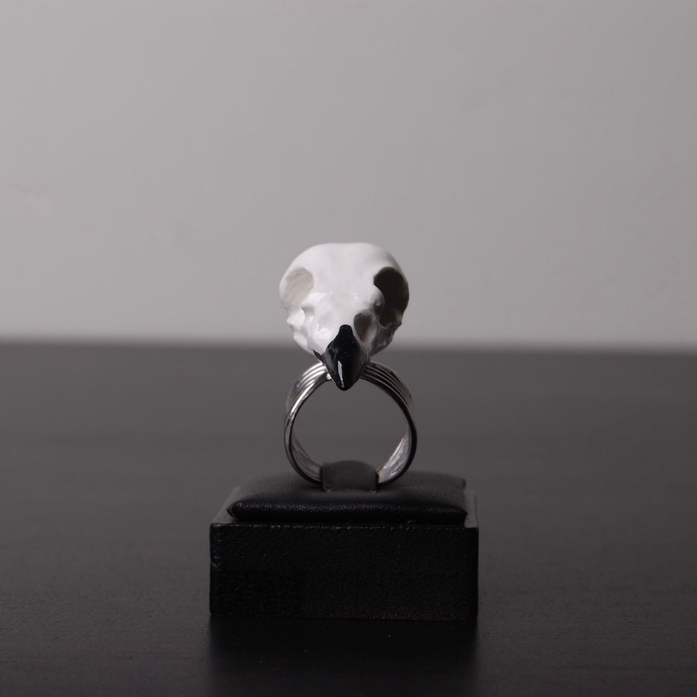 anello con teschio di corvo vista frontale