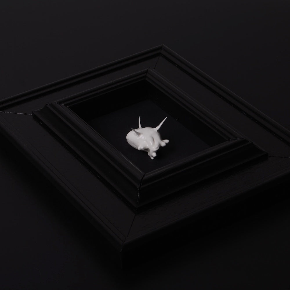 miniatura cuore anatomico spinato bianco su cornice nera rettangolare nera, vista dalla parte superiore dall'alto