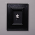miniatura cuore anatomico spinato bianco su cornice nera rettangolare nera vista frontale
