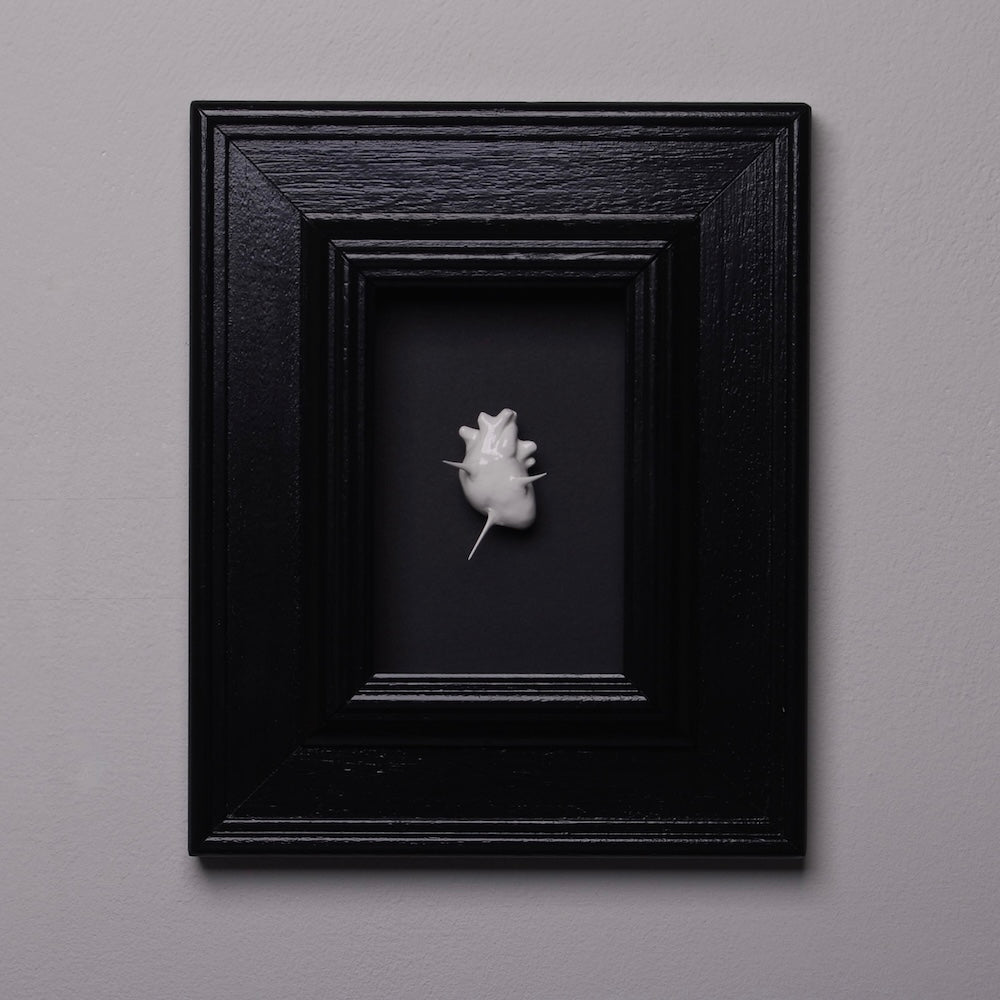 miniatura cuore anatomico spinato bianco su cornice nera rettangolare nera vista frontale