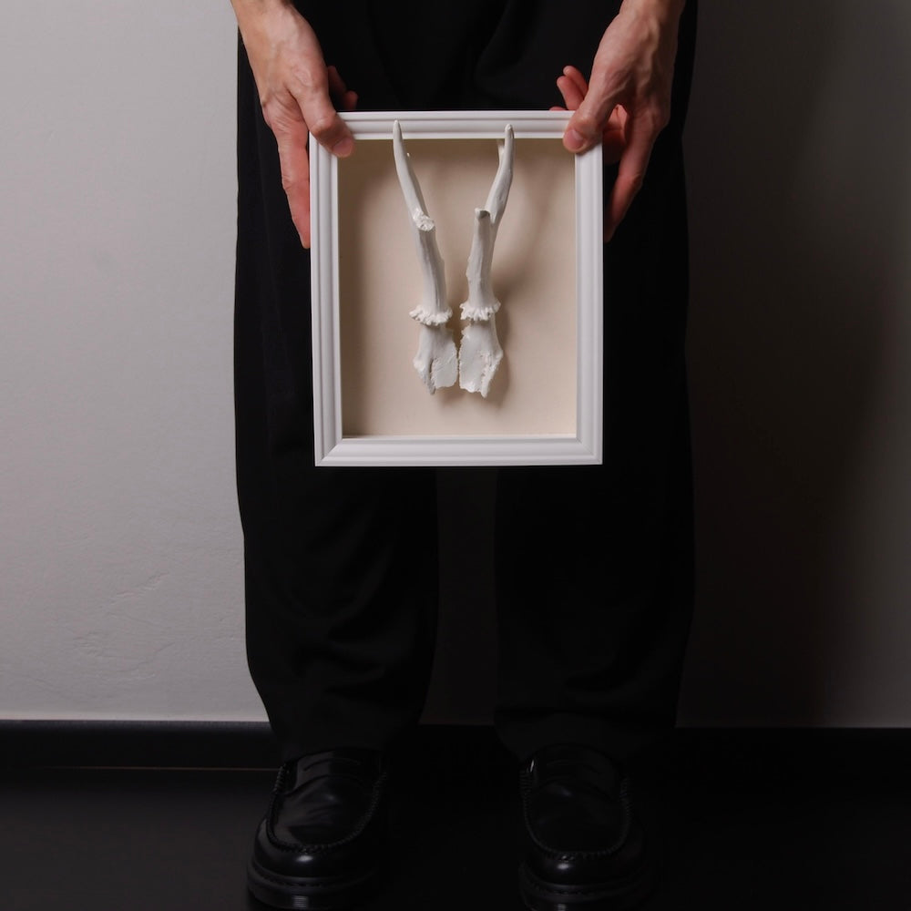 mano che sorreggono un quadretto con riproduzione corna di capriolo