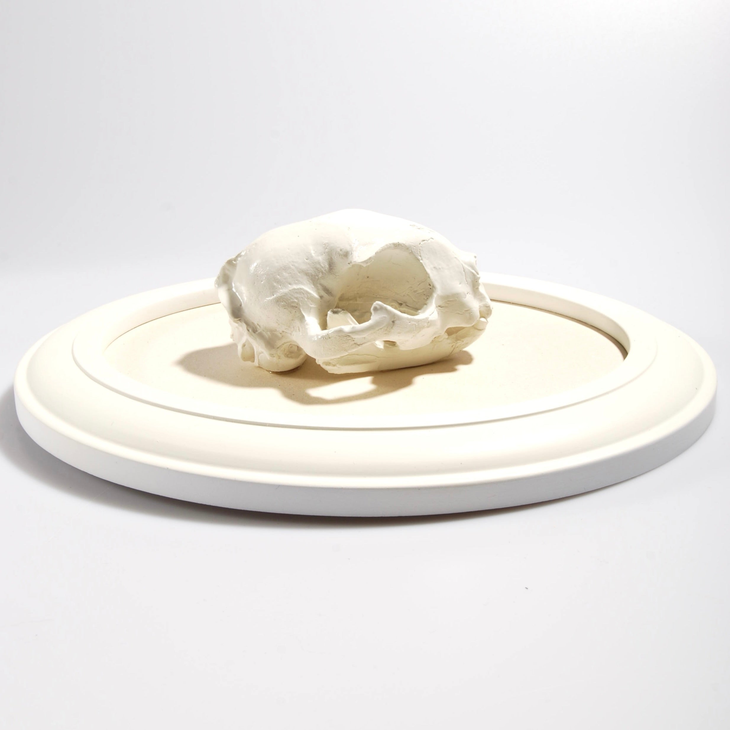 Quadretto Teschio di Gatto - Ovale