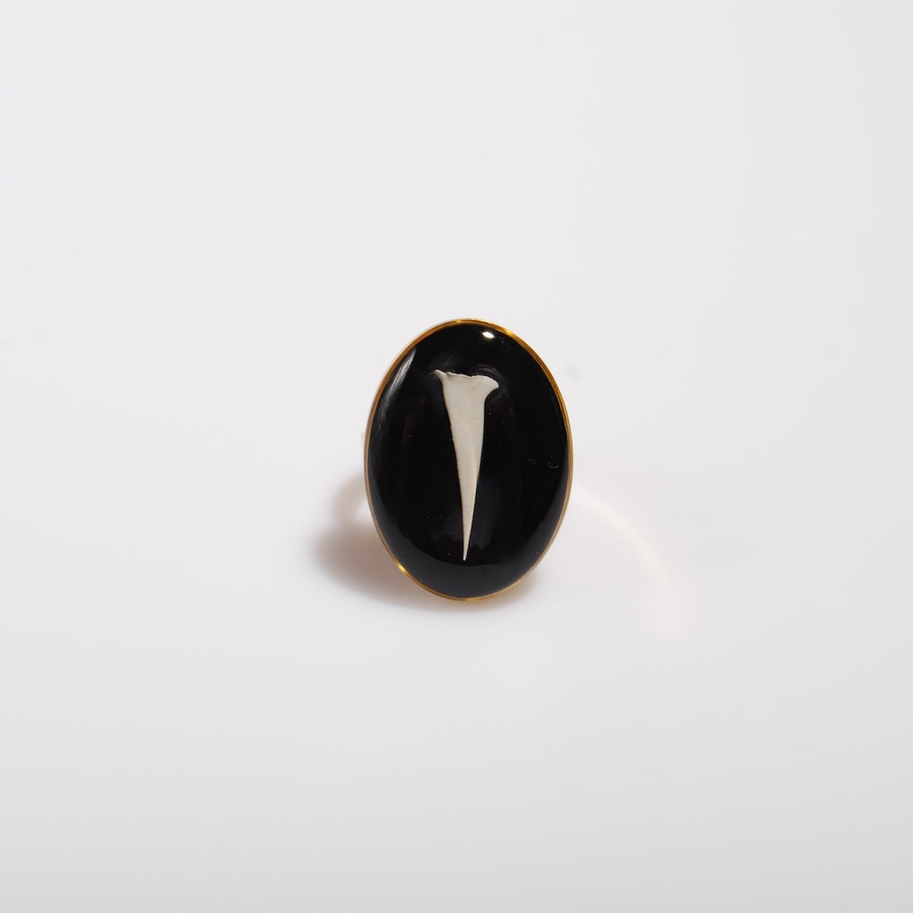 anello ovale con spina di acacia sotto resina, vista frontale