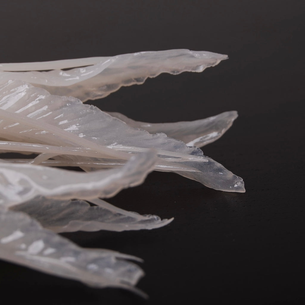 dettaglio dei tentacoli delle meduse di un paio di orecchini