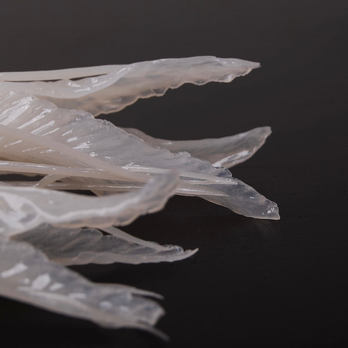 dettaglio dei tentacoli delle meduse di un paio di orecchini