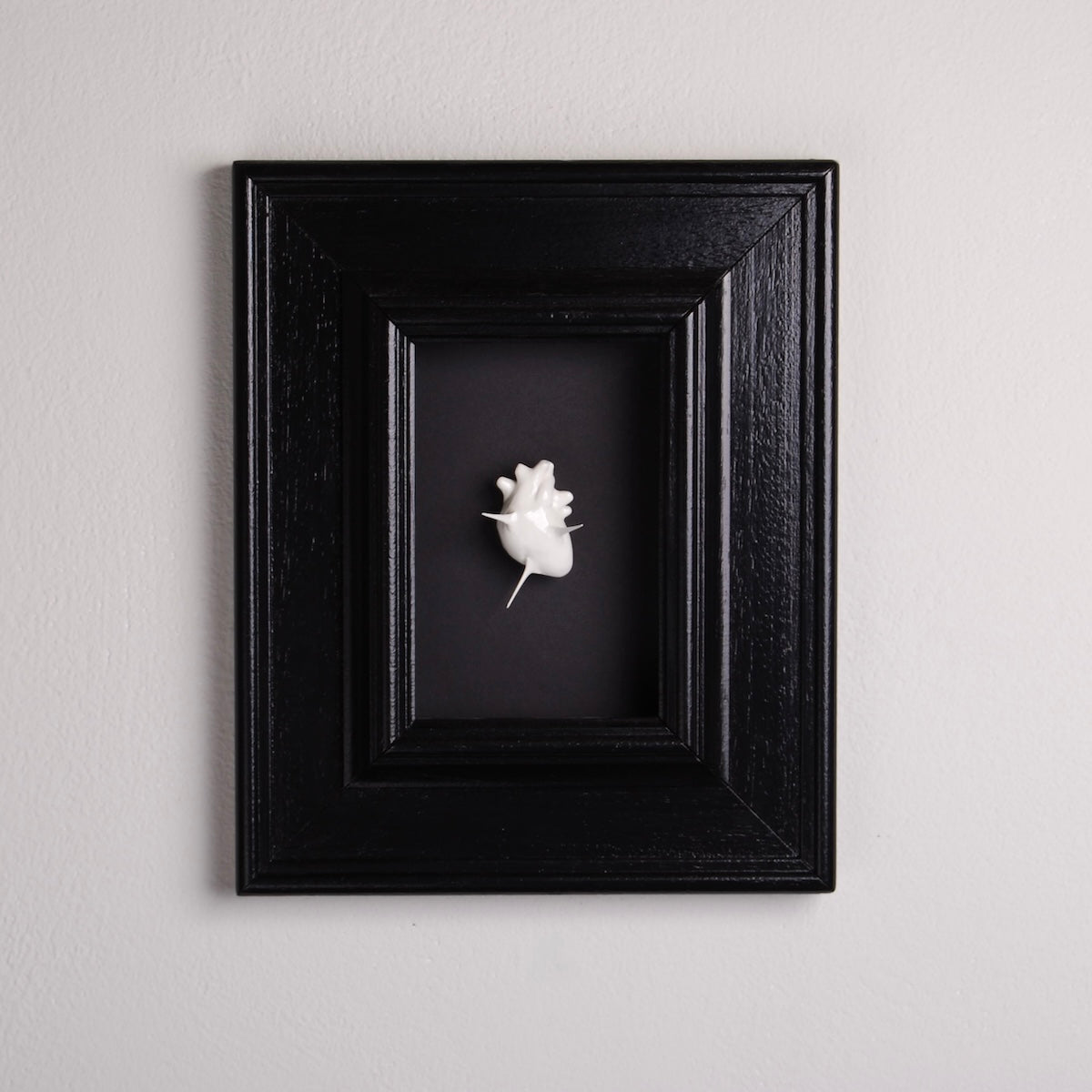 quadro con cuore anatomico spinato