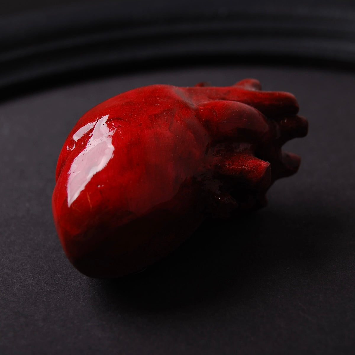 quadretto rotondo con cornice nera e cuore anatomico rosso, vista ravvicinata del cuore