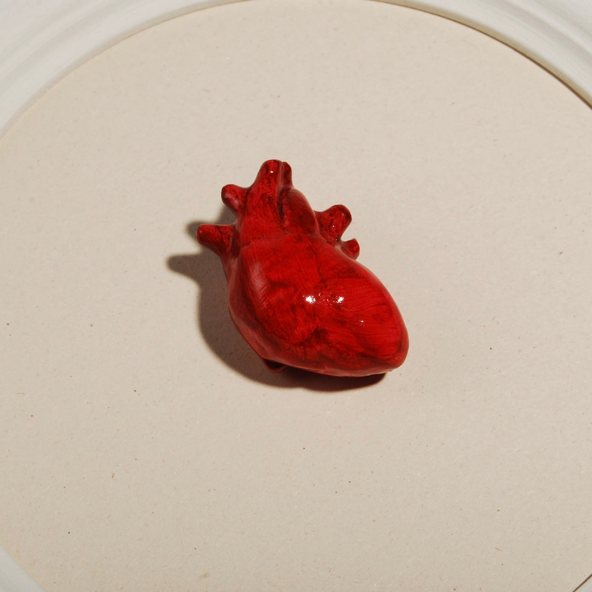 quadretto rotondo con cornice bianca e cuore anatomico rosso, dettaglio del cuore