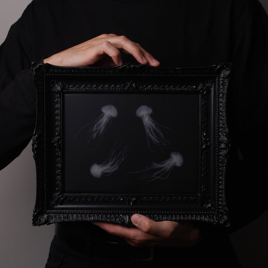 mani che tengono un quadro con sculture di meduse marine in cornice rettangolare intarsiata, orizzontale