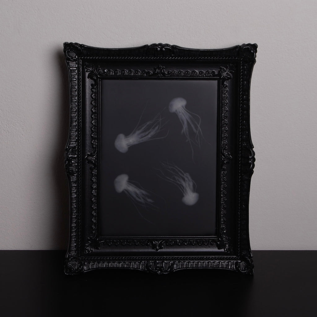 quadro con sculture di meduse marine in cornice rettangolare intarsiata, poggiato in verticale su un piano