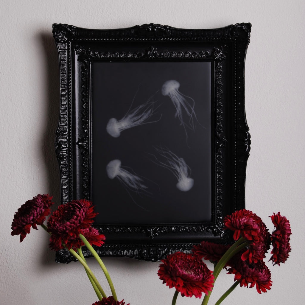 quadro con sculture di meduse marine in cornice rettangolare intarsiata appeso in verticale sopra gerbere amaranto in vaso