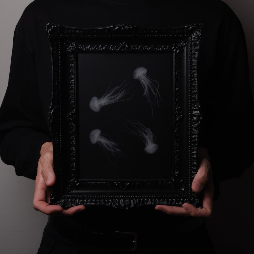 quadro con sculture di meduse marine in cornice rettangolare intarsiata, tenuto tra due mani in verticale