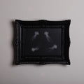 quadro con sculture di meduse marine in cornice rettangolare intarsiata, appeso orizzontale