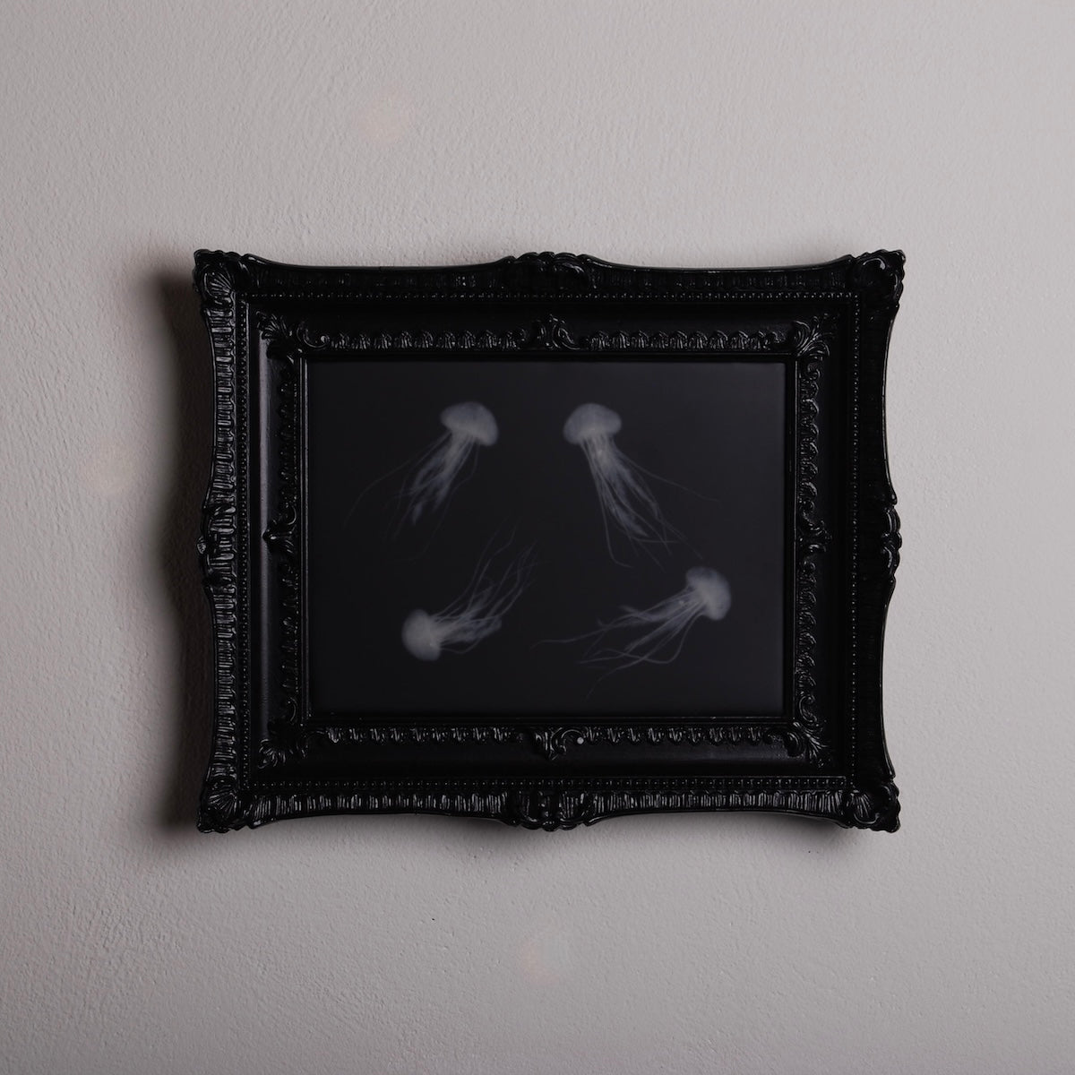 quadro con sculture di meduse marine in cornice rettangolare intarsiata, appeso orizzontale