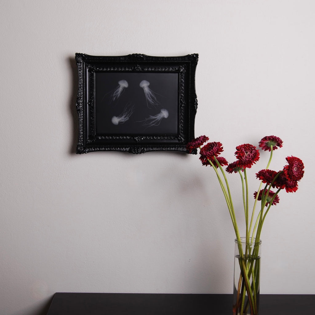 quadro con sculture di meduse marine in cornice rettangolare intarsiata, appeso su un muro al di sopra di un tavolo nero con vaso di gerbere amaranto